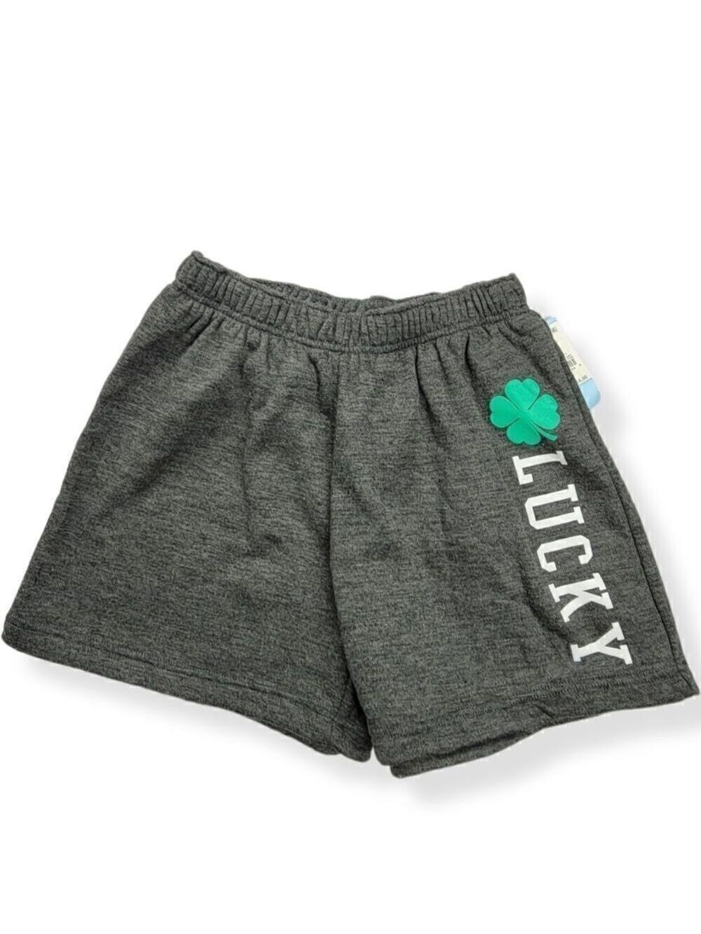 Modern Lux Gray Shorts Small